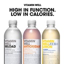 Vitamin Well 500ml